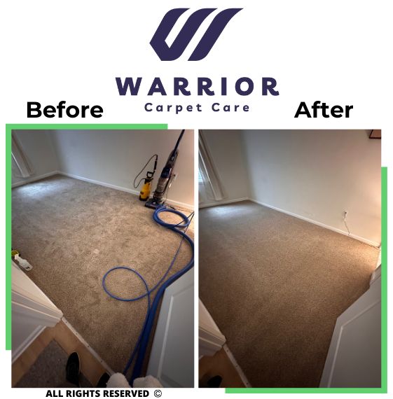 Carpet Cleaning 2