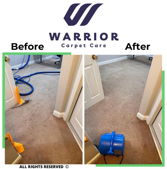 Carpet Cleaning 5