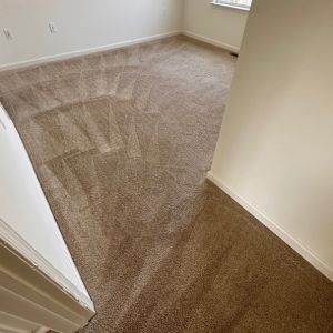 Carpet Cleaning - Carpet Care 2