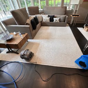 Rug Cleaning 6