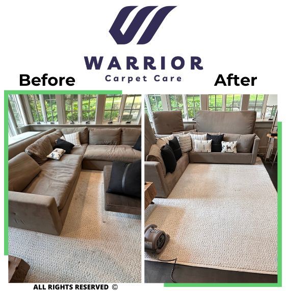 Upholstery Cleaning 3